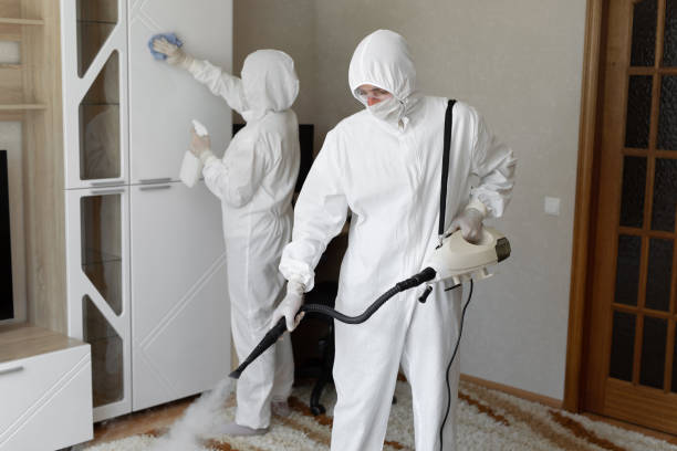 Trusted Sewage Cleanup service in Albion, IL - Four Month Blood Cleanse